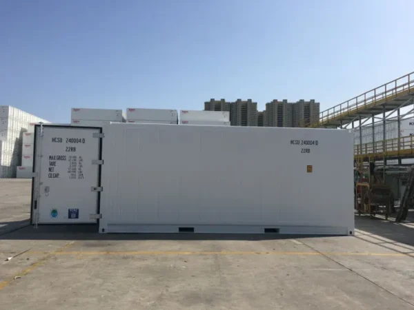 20ft Domestic Reefer container